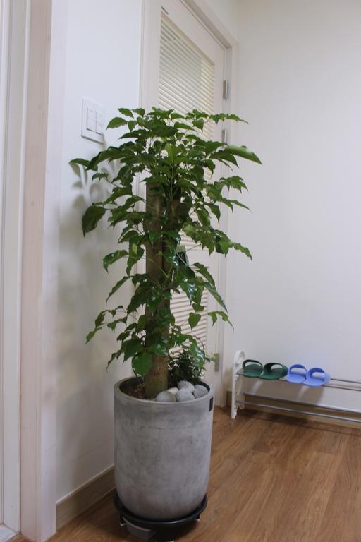 My Stay Jeonju Room photo